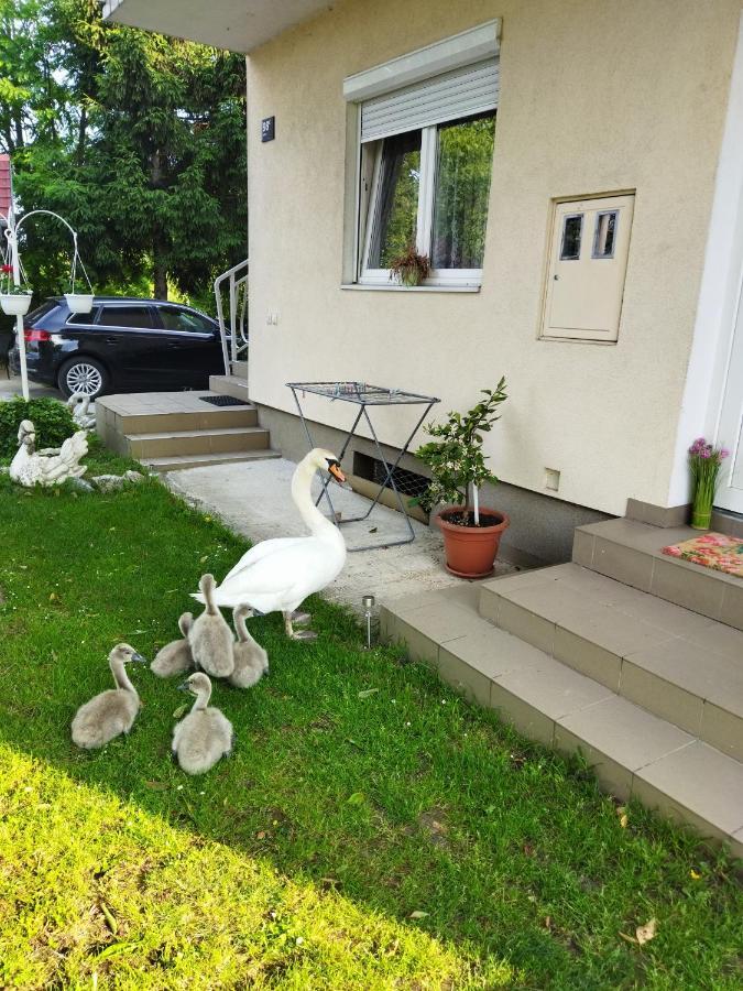 Apartman Na Jezeru 萨格勒布 外观 照片