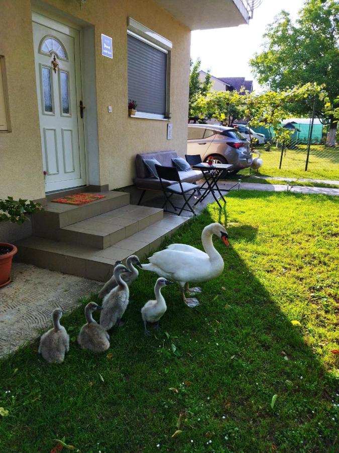 Apartman Na Jezeru 萨格勒布 外观 照片